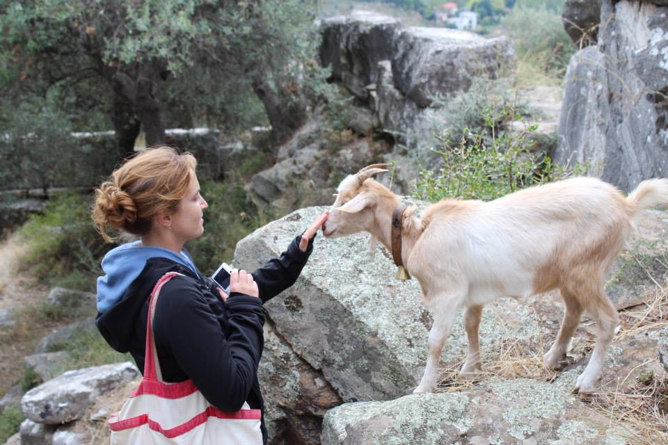 Emily Wilson - emily.s.wilson@colostate.edu